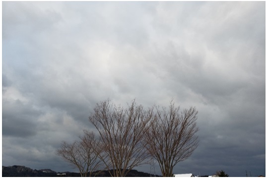 冬の空