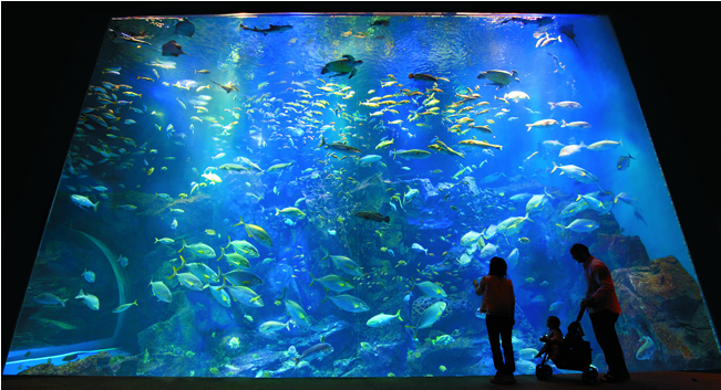 男鹿水族館GAO★