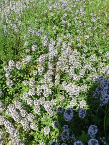 20190710_134507