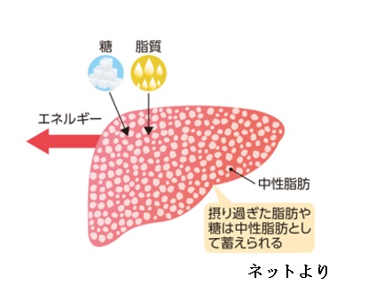 健康診断