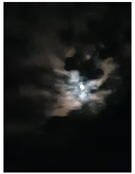 1091101