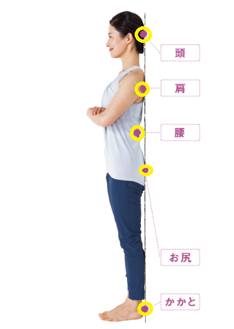 美しい姿勢