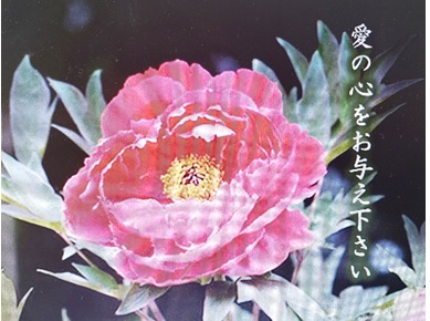 そら6
