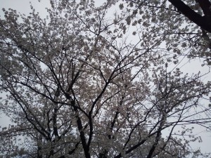 マスクで肌荒れ