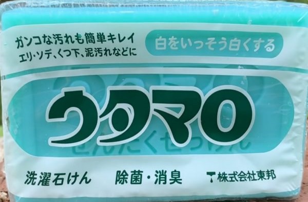 ウタマロ師匠と母の日