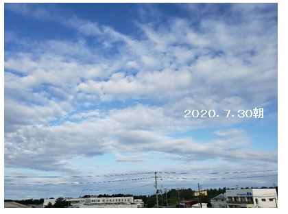 2020073008