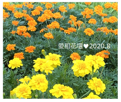2020082506