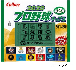 家でも外でも野球野球！