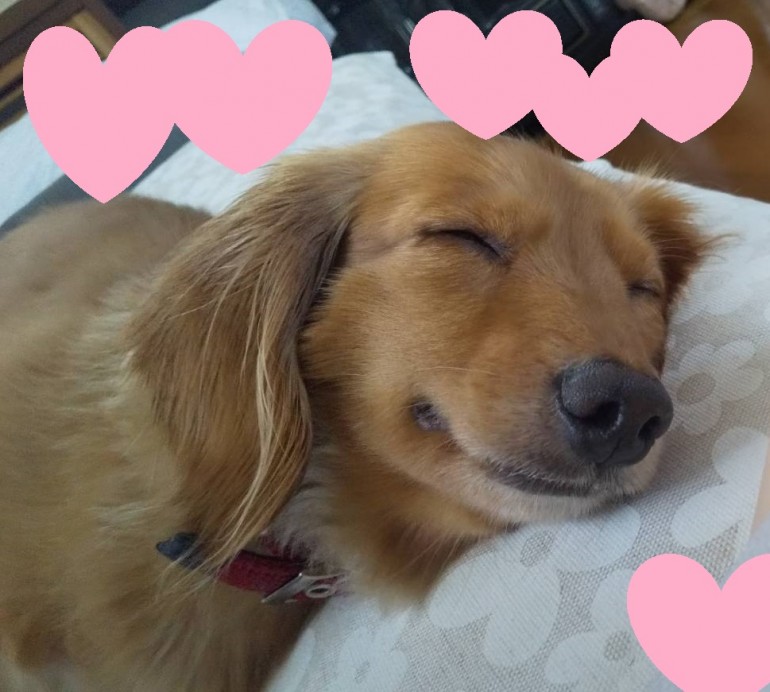 29109