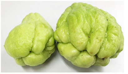 2020112104