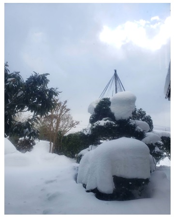 新年ほのぼの♥