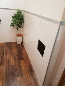 子猫の倉吉くん　続き