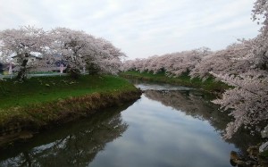 GWですね
