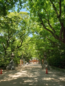 え