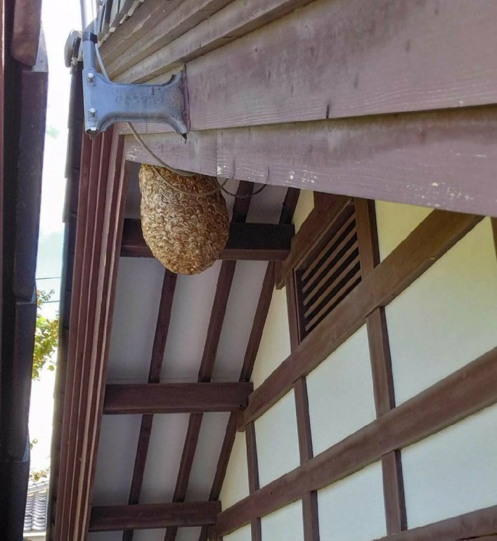 いのちがけ