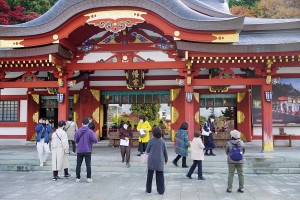 晩秋のツアーに行ってきました