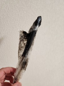 母の小言
