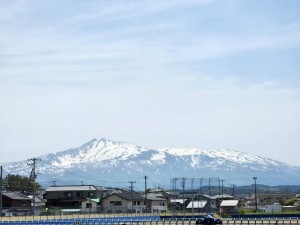47648