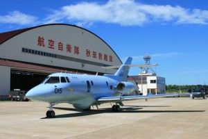 akita