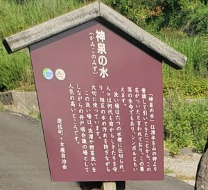 78558