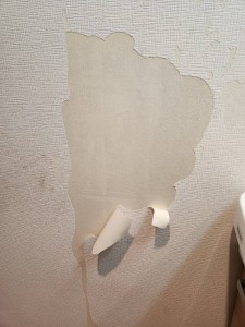 続！脱衣所の壁