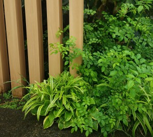 雨の日曜日