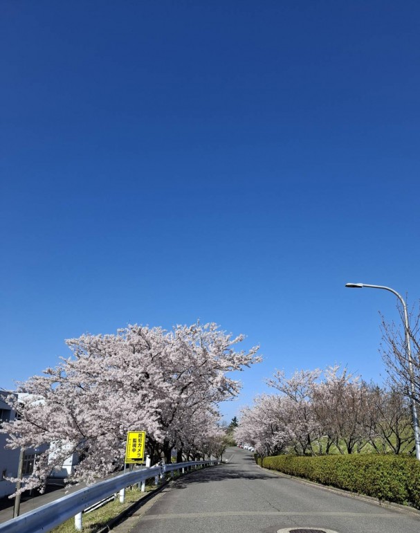 うっとり、のんびり