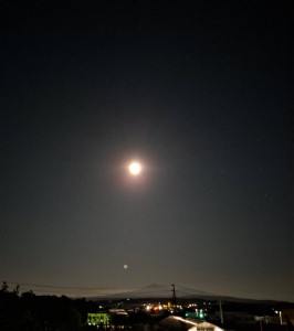 今年の夏は！